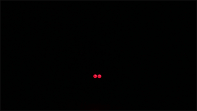 Laser kol Tail světlo USB MTB Bike automatické Turn signály bezpečnostní výstražné světlo